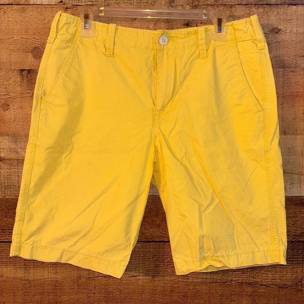 Express Casual Shorts